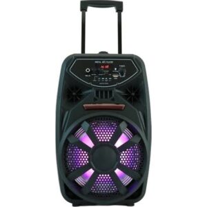 Пренослив караоке звучник PK-09L од 8″ со LED светла